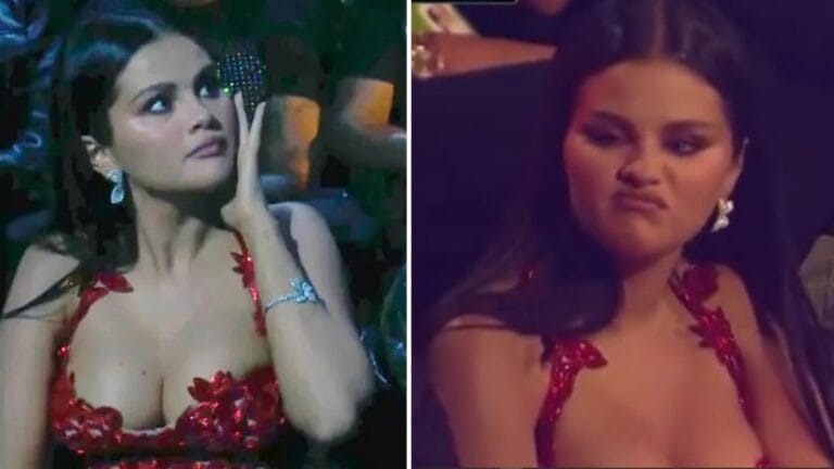 selena gomez meme