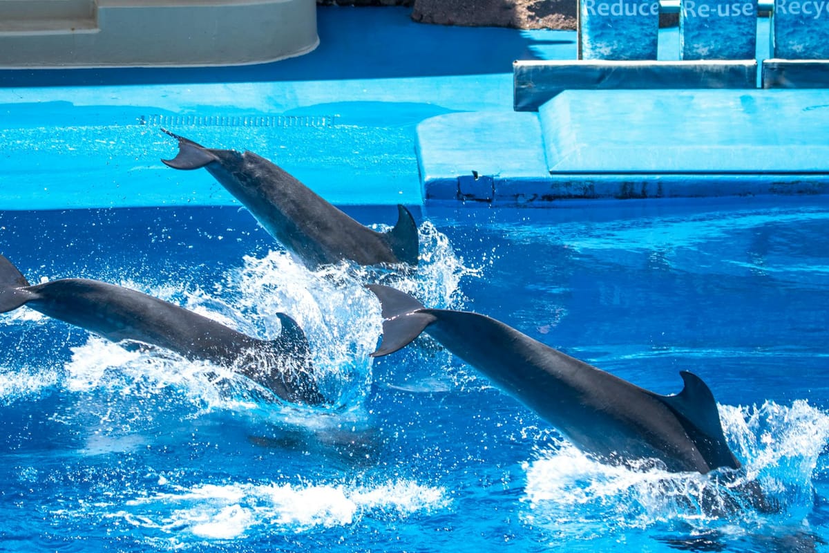 Weekend Guide to Marine Park: Best Brooklyn Plans