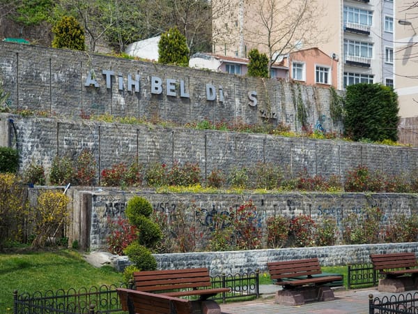 Best Local Spots in Ditmas Park: Brooklyn Guide