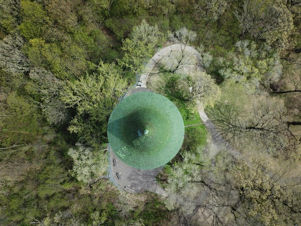 Prospect Lefferts Gardens Local Guide 2026